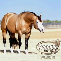 A horse standing in the middle of an open field.