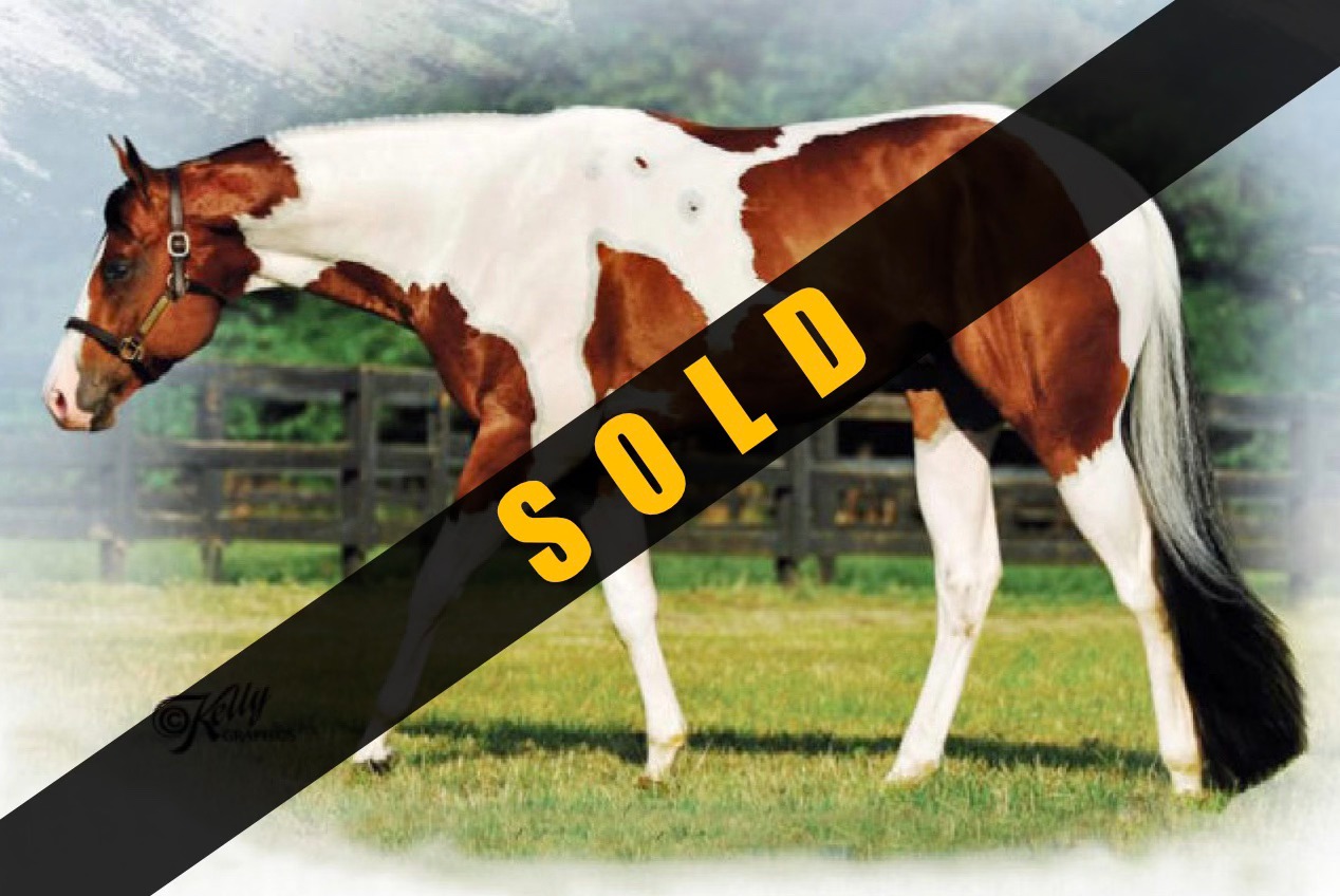 A brown and white cow standing in the grass.