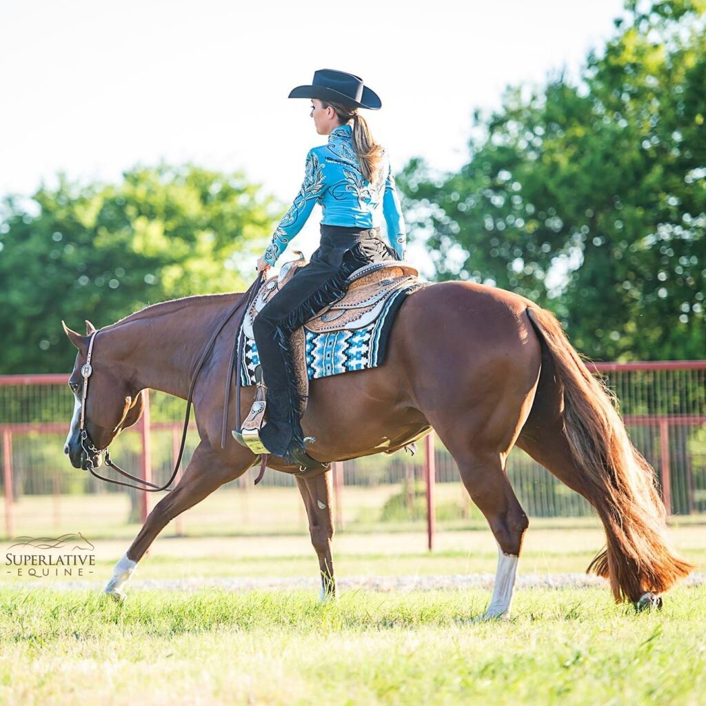 A horse with saddle on in the grass.