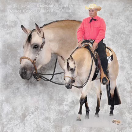 A man in cowboy hat sitting on the back of a horse.