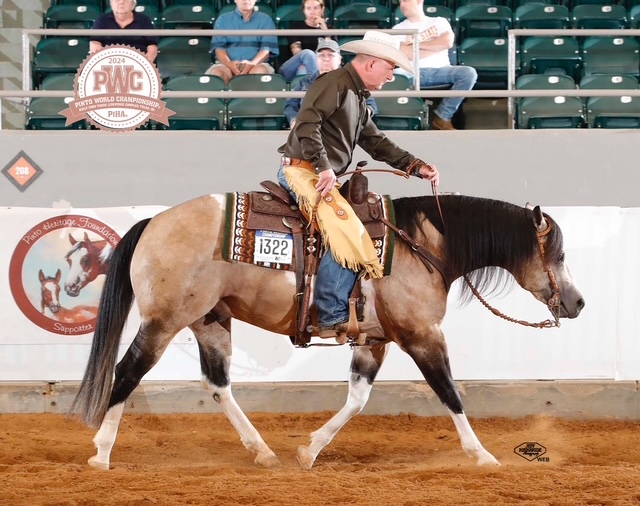 A man riding on the back of a horse.